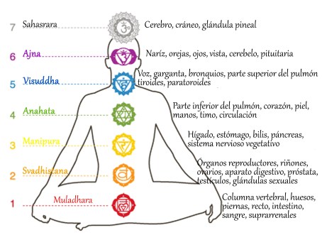 EQUILIBRA TUS CHAKRAS