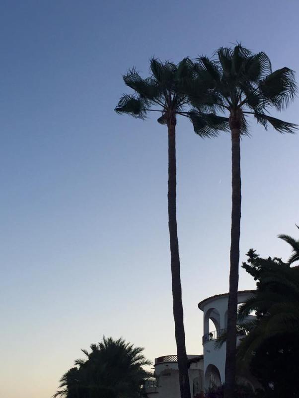 13925378_934591293318108_3422442590603420729_n